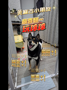 影片1