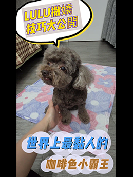 影片2