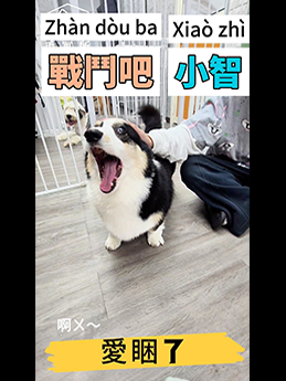 影片3