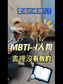 影片4